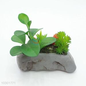Promotional stone shape succulent plant pot