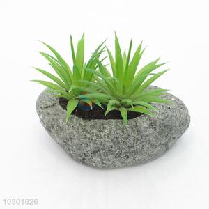 Good sale simulation succulent plants