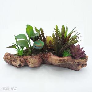 Eco-Friendly simulation succulent plants