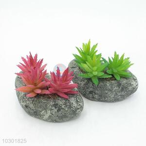 Top quality new style simulation succulent plants
