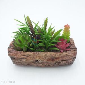 Popular Plastic Succulent Plant Ornamental Plants
