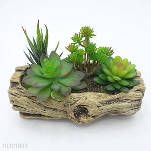 Lovely Plastic Succulent Plant Ornamental Plants