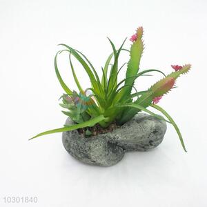Superfine Plastic Succulent Plant Ornamental Plants