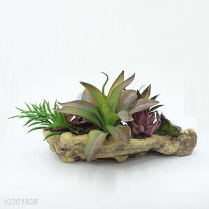 Customized Plastic Succulent Plant Ornamental Plants