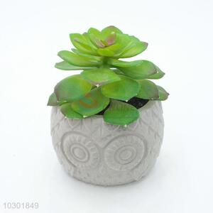 Lowest price faux succulent plant pot