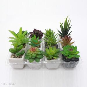 Cheap Price Mini Plastic Succulent Plant Ornamental Plants set