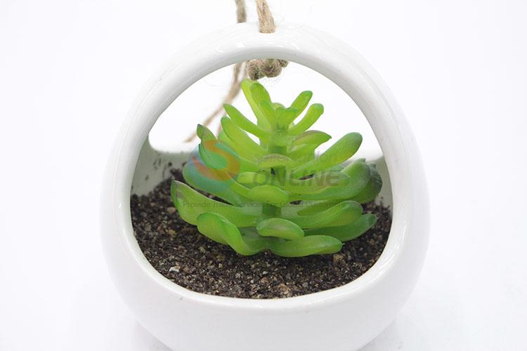 Unique Design Suspensible simulation succulent plants