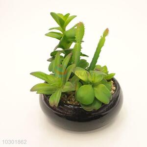 Super quality fake succulent plant pot