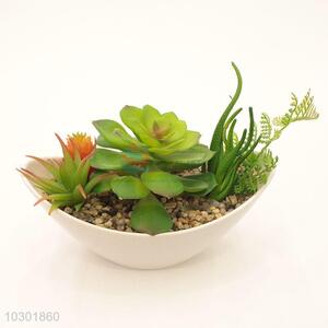 Top Quality Artificial Succulent Plants Home Decoration