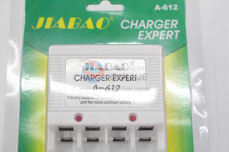 China factory quickly charger expert