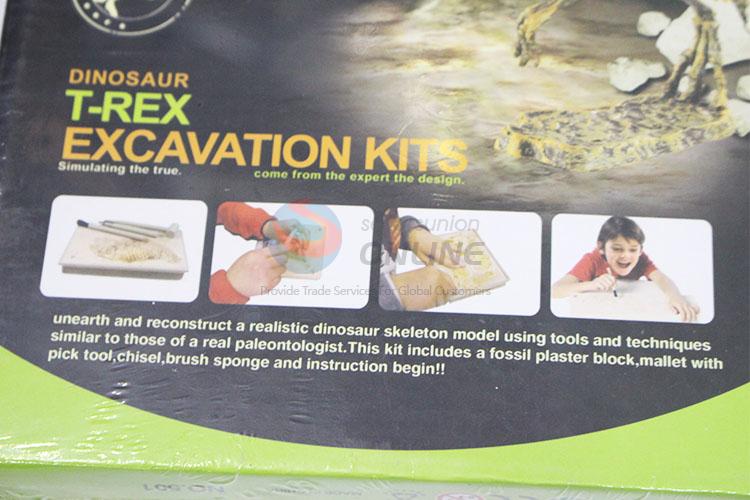 Factory Direct Tyrannosaurus Excavation Kits for Sale