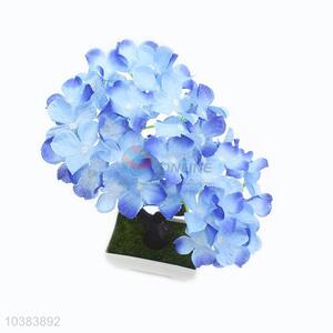 Small flower <em>pot</em>/decorative potted <em>bonsai</em>