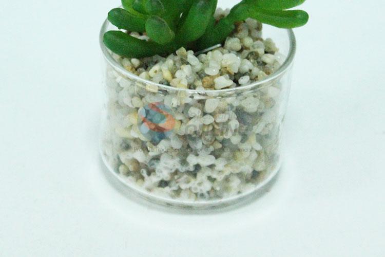 仿真多肉植物