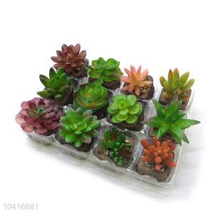 Low price new arrival <em>artificial</em> succulent <em>plant</em>