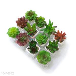 Best selling promotional artificial succulent plant