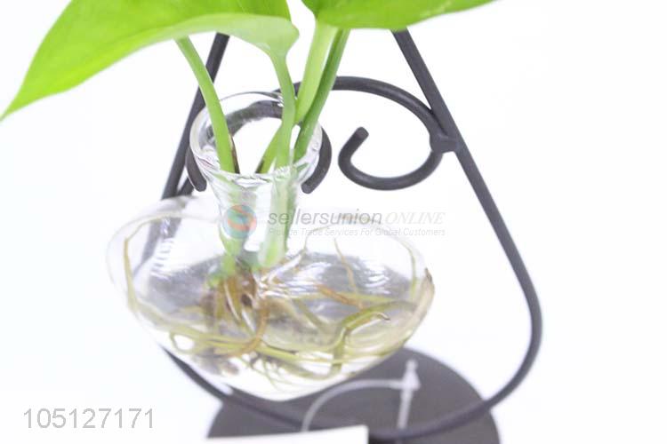 Fashion Style Cute Creative Glass Vase Hydroponic Bottle