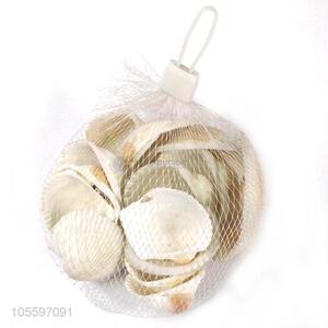 Best Sale Natural Decorative Shell Craft