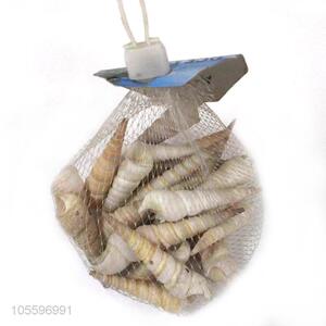 Hot Selling Natural Shell Best Craft Gift