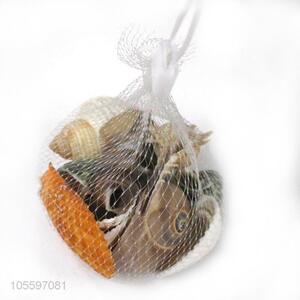 Top Quality Natural Conch Best Shell Craft