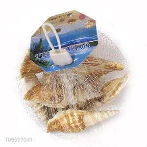 Best Selling Natural Shell Fashion Ocean Shell