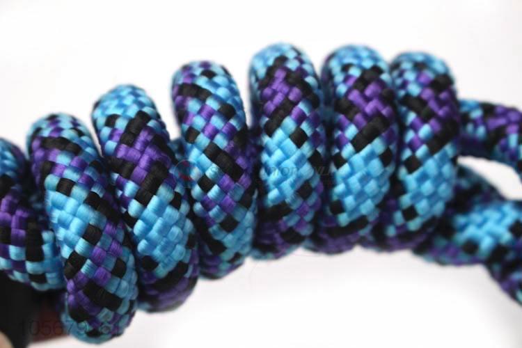 Best quality dog supplies polyester rope dog leash pet leash