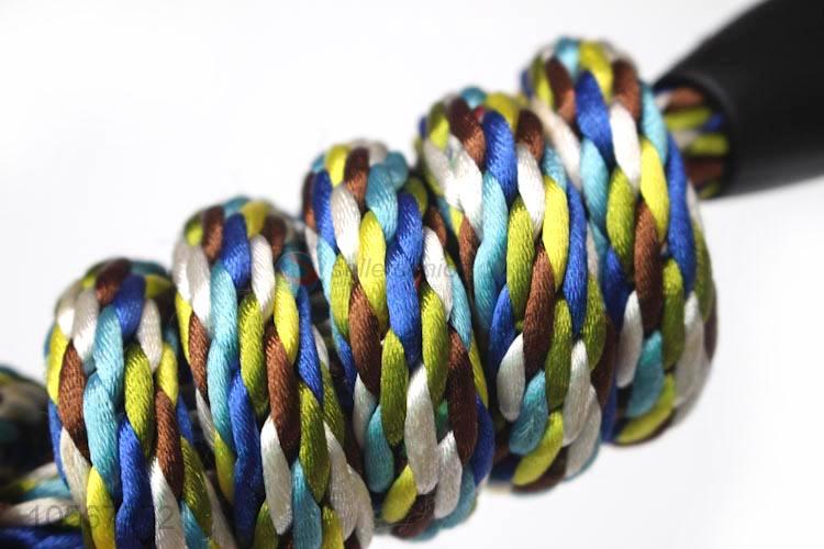 Hot selling dog supplies polyester rope dog leash pet leash
