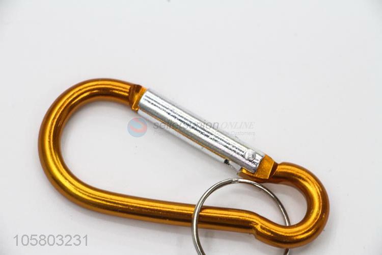 New Advertising Camping Keyring Carabiner for Outdoor Travel