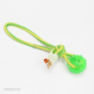 Popular Colorful Pet Chew Toy Dog Training Toy