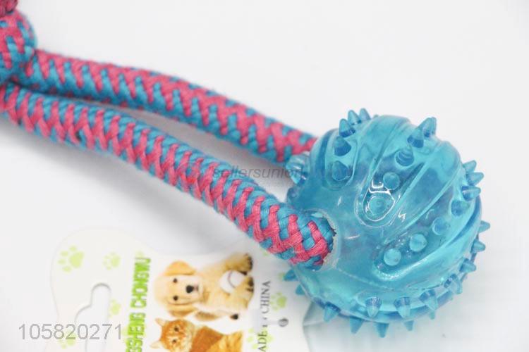 Hot Selling Pet Teeth Chew Toy Dog Training Toy