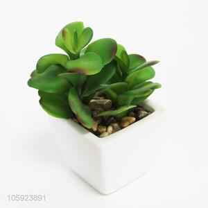 wholesale fashion ornamental mini artificial plant bonsai