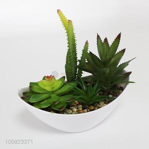 Creative Simulation Of potted succulents Small Green Plant Bonsai