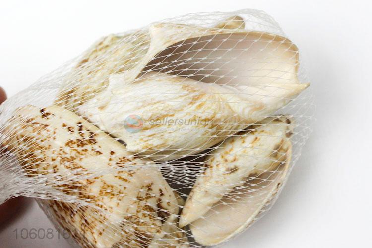 Wholesale unique design ocean craft sea shells