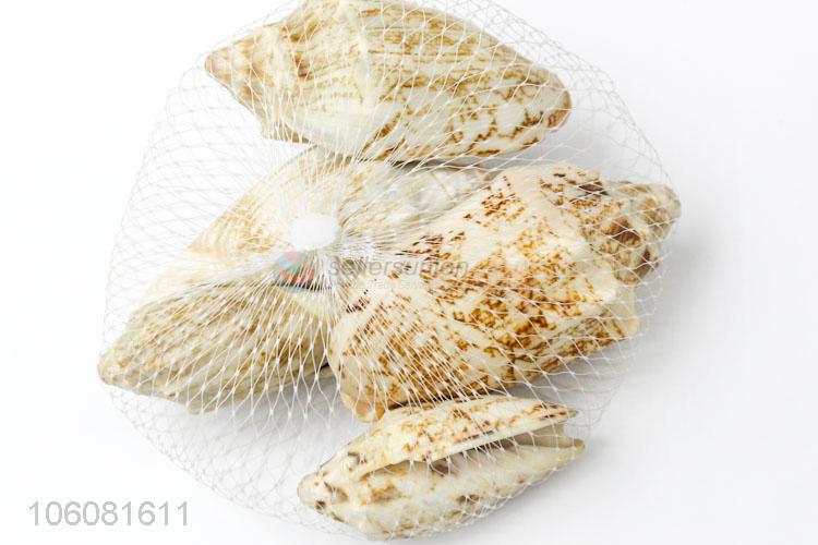 Wholesale unique design ocean craft sea shells
