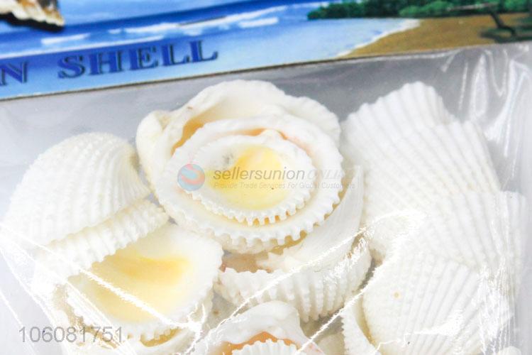 High sales natural sea shell best shell conch crafts