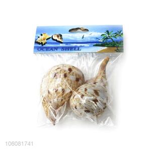 Best price natural conch shell for home decoration