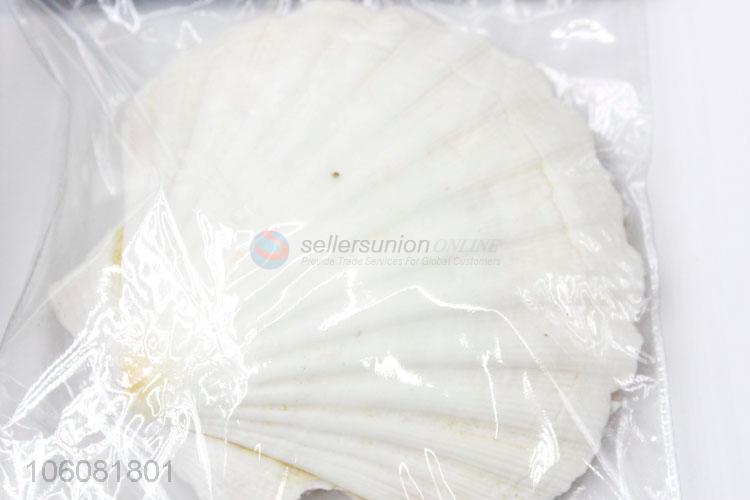 Wholesale sea shell best shell decorative shell craft