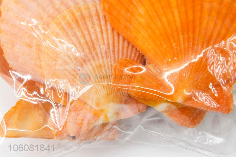 Cheap price sea shells landscape aquarium decorative