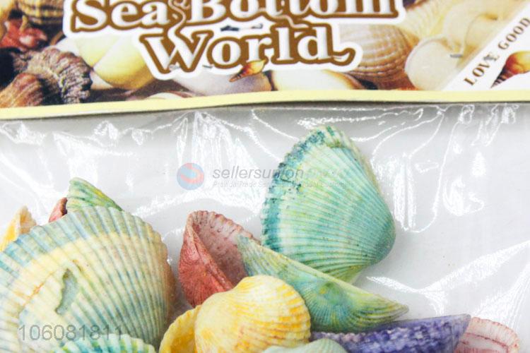 Hot sale colorful sea shell decorative shell craft