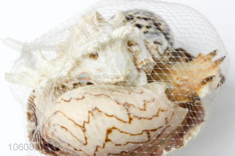 Factory sales natural sea shell natural craft shell in net bag