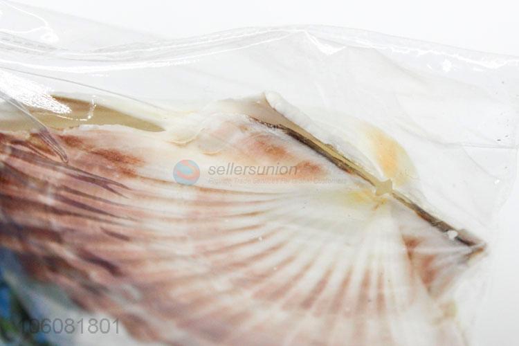 Wholesale sea shell best shell decorative shell craft