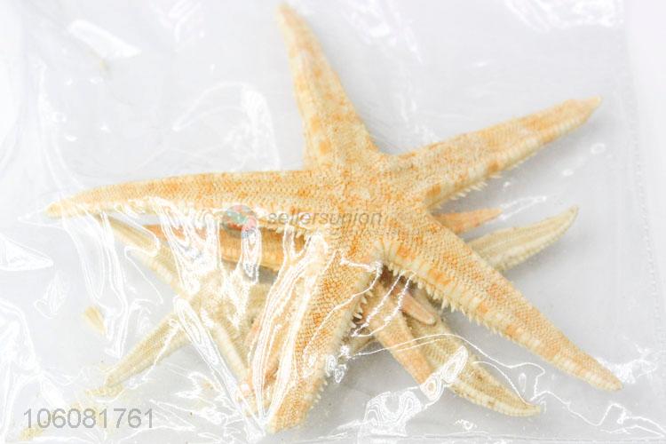 New products natural colorful shells starfish sea decoration