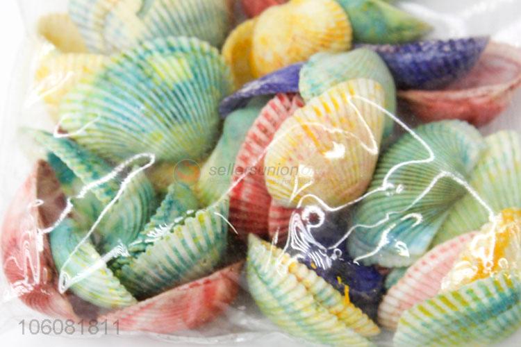 Hot sale colorful sea shell decorative shell craft