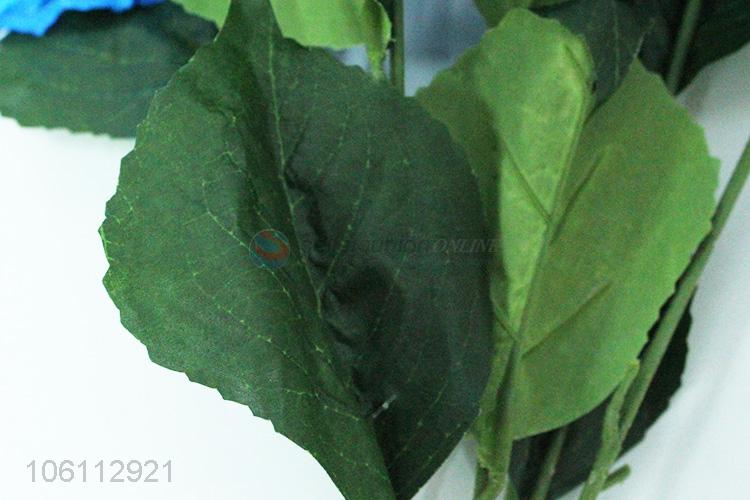 5头绣球