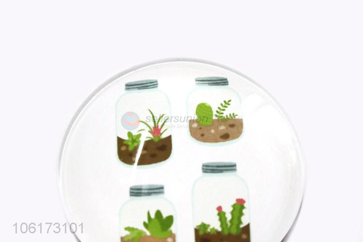 Hot sale decorative succulents picture glass fridge magnet