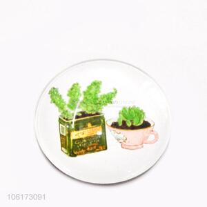 Reasonable price succulents design dome glass fridge magnet