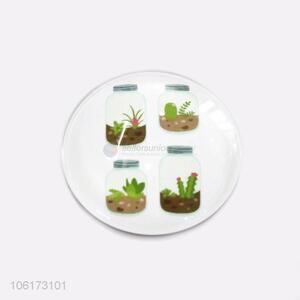 Hot sale decorative succulents picture glass fridge magnet