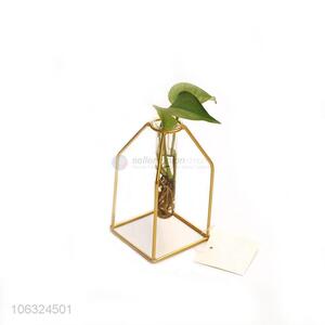 Good Quality Home Decorative Gold Metal Frame Hydroponic Plant Vase