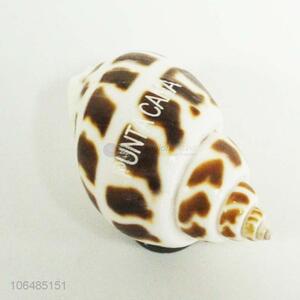 New Arrival Natural Shells Fridge Magnet