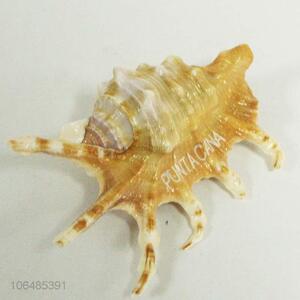 Top Quality Natural Shells Decorative Fridge Magnet