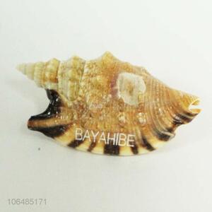 Best Selling Natural Shells Fridge Magnet